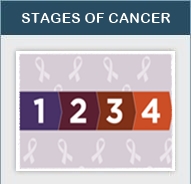 Stages of Cancer